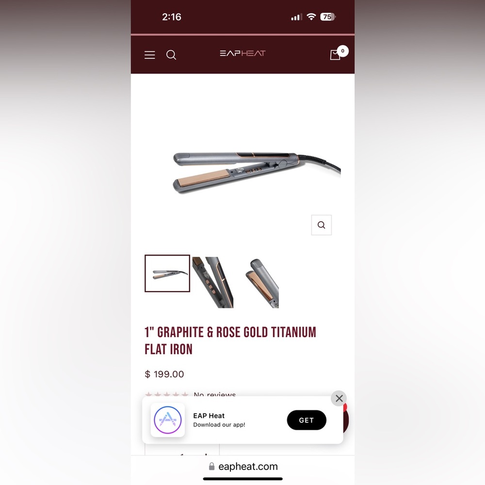 EAP Titanium Flat Iron